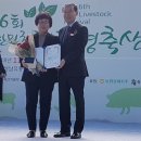 수상목장 이미지