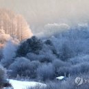 비밀의 정원 이미지