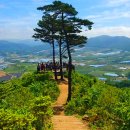 "참가비 1만 원 전액 환급에 밥까지 준다고?"... 하루 딱 100명만 허락되는 6.6km 숲길 트레킹 이미지