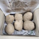 용동길 | < 2025년 햇 두백 감자 특 1Kg > 정선농부 수미감자 후기:))