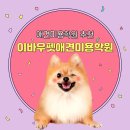 논산애견미용학원 이미지