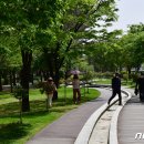 철길숲(학산동) 이미지