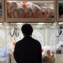 짱오락실 강동이케아점 이미지