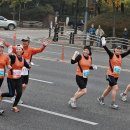 2015년 서울중앙마라톤대회 일정 계획 및 자원봉사자 모집 공고 이미지