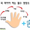 점핑PT&샐러드