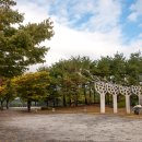 연강나룻길 A코스 이미지