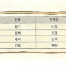 실천의행복