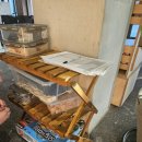 천고농장 이미지