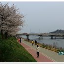 금호강변 이미지