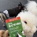 📢 2026 울산펫페어 초청장 안내 🐶🐱 이미지