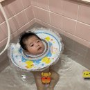 열무열차 이미지