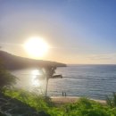 원투PC | 하와이 하나우마베이 예약 방법 총정리 글로벌원투어 투어까지 한눈에