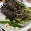 백년기사식당 이미지