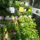 경주동궁원 알화장실 이미지