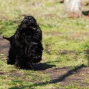 청안동물병원 이미지