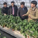 유호종농장 이미지