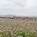 가파초등학교 이미지