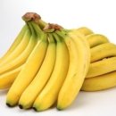 바나나 동물병원 이미지