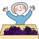 죠샌드위치 금호점