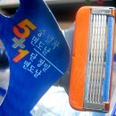 프라이드트랜스