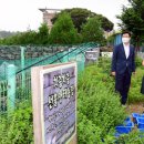 선흘 이미지