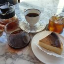 카페 수박등15