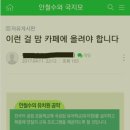 안철수 팬카페의 지령 이미지