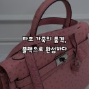 호미가 | 코디가 쉬워진 이유｜호미가 타조백 블랙 염색 명품 수선 후기