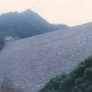 평화의 발 이미지