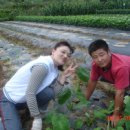 삼부자농장 이미지