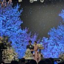 [W07. 본식] 엘타워 그레이스홀 25.4월의 신부썰👰‍♀️