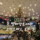 소망작은도서관 | 별마당도서관 스타필드 코엑스몰 크리스마스 초대형 트리