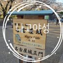 세븐일레븐대전문화우리점 | 일본 나고야성 입장료 맛집 벚꽃 시간 가는법 천수각 역사 후기