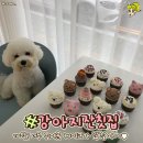 강아지잔칫집 이미지