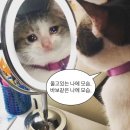 241005 윤하 Growth Theory 팬사인회 후기(정효아트센터)- 부제 : 안녕하세요, 김태영입니다.