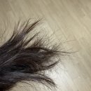 실크테라피 | 극손상모 헤어에센스 추천 | 실크테라피 헤어에센스 + 브러쉬 내돈내산 사용 후기