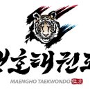 맹호태권도장 이미지
