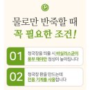 쥐눈이콩 청국장환 효능 일주일 체험 후기 백준호 효소마을 유산균 단백질 효소를 합한 인생 건강식품