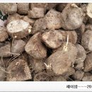 서마농장 네이버블로그