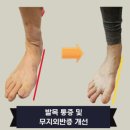 한국스포츠인재재활교육원 | 이상우 트레이너 소개