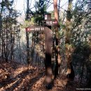 가제산 정상 이미지