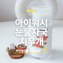 아이워시 | 비숑 말티즈 강아지 눈물 냄새·착색 관리, 아인솝 아이워시 후기