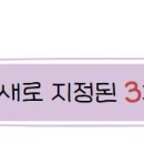 정동토굴새우젓