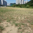 협신경로당 Daum카페