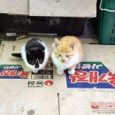 세븐일레븐태안근흥점