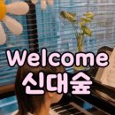 신대숲음악학원