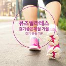뮤즈 필라테스