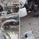 흥양로 51번길 이미지