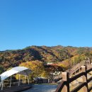 와촌면사무소 | 팔공산 갓바위 야영장 솔직후기