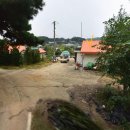 정상로 이미지